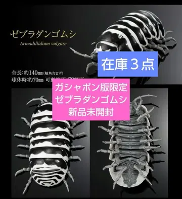 생물대도감 어드밴스 가샤폰판 한정판 제브라 밴딩 벌레 새상품