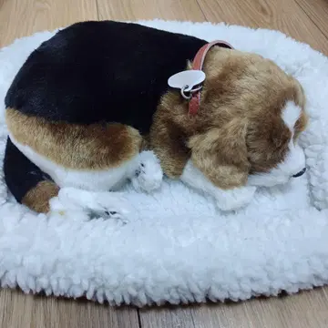 비글 개 움직이는 리얼 봉제 인형