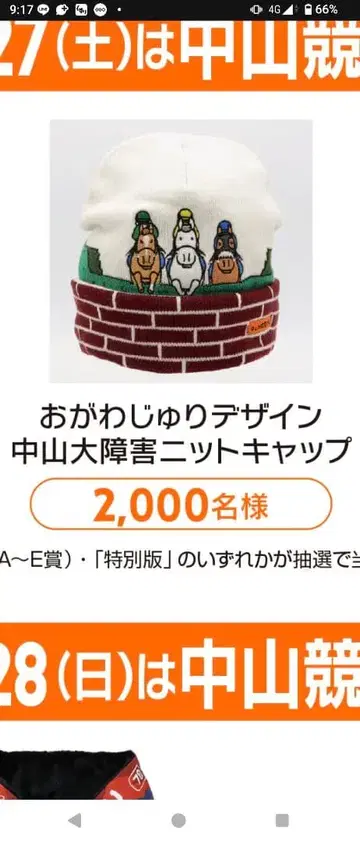 Welcome 찬스 오가와 유리 디자인 나카야마 대장애 니트 캡