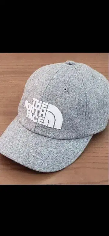 THE NORTH FACE CAP / GRAY