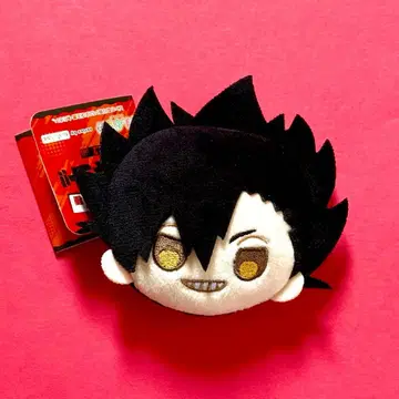 하이큐!! 핀구루미 vol.2