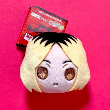 하이큐!! 핀구루미 vol.2