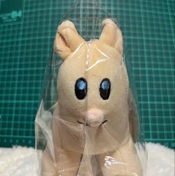 호리나츠의 왕관(가칭) 호리파카