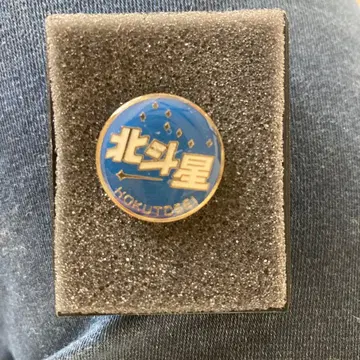 블루 트레인 북두성 핀 배지