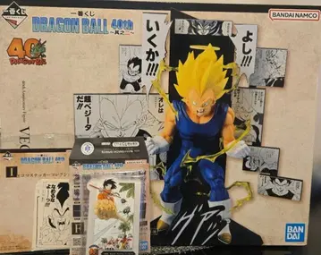 드래곤볼 40th Anniversary B상 베지터 F상 I상