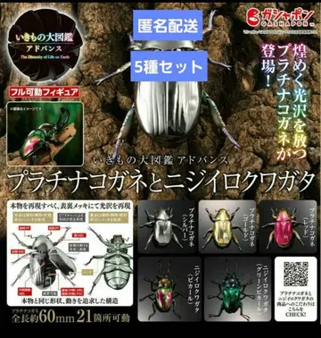 생물대도감 어드밴스 플라티나 풍뎅이와 무지개빛 사슴벌레 (전 5종 세트)