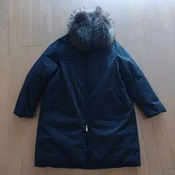 두지엠 클라세 다운