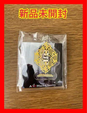 Acid Black Cherry 언제나 함께 키링