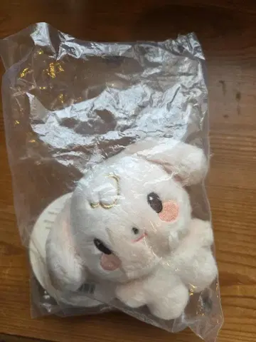 유노 추동이 한국 포바