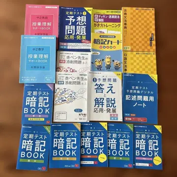 2025학년도판 신켄 제미 중고일관 중2