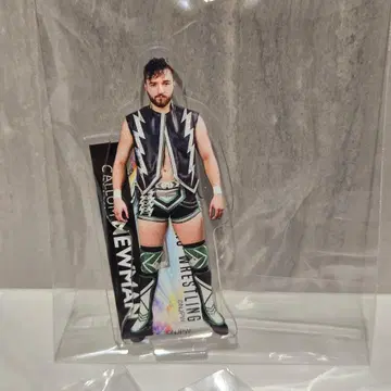 카람 뉴먼 아크릴 스탠드 아크릴 스탠드 복권 신일본 프로레슬링