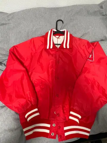 아쿠아자우르스