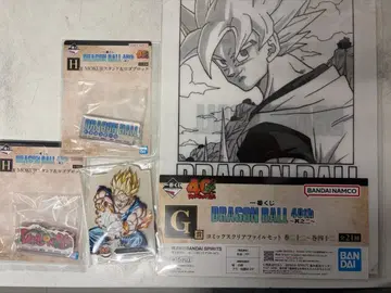 드래곤볼 클리어 파일 세트 40 Ani F G H 상