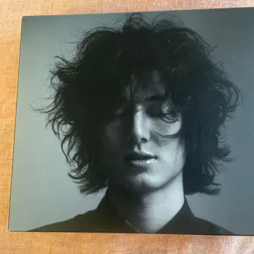 후지이 카제 초회 한정판 HELP EVER HURT NEVER