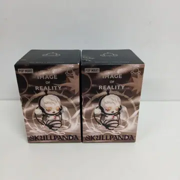 SKULLPANDA Image of Reality 2개 세트 미개봉
