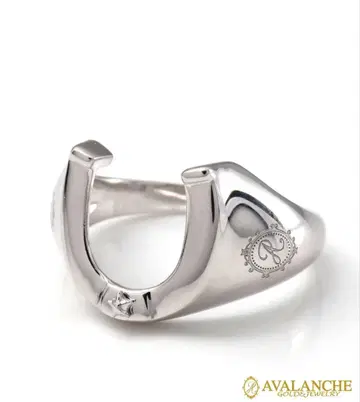 [ 새상품, 미사용 ] Avalanche 실버