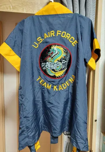 미 공군 가데나 기지 하피