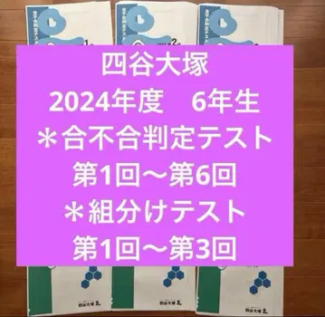 2024년 합불합 판정 테스트, 반 편성 테스트