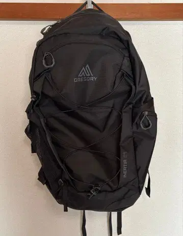 그레고리 백팩 이너시아 24 옵시디언 블랙