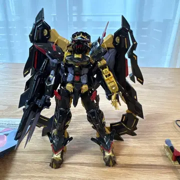 RG 건담 아스트레이 골드 프레임 천 미나 1/144