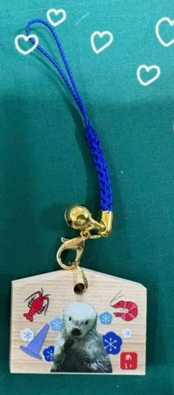 도바 수족관 미니 에마 랏코 메이짱