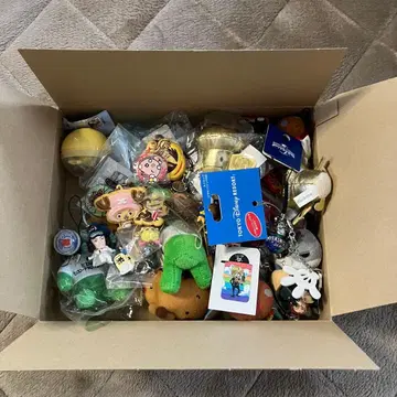 쿠라스시 유니버셜 TDR 캡슐 토이 묶음 판매 새상품 미개봉 사용품 포함