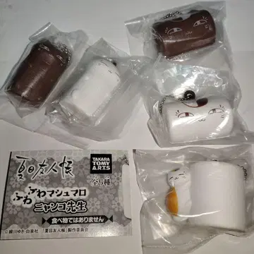 헤이세이의 폭신폭신 마쉬멜로우 냥코 선생님