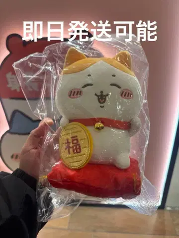 치이카와 (먼작귀) 초복 하치와레 봉제 인형 S