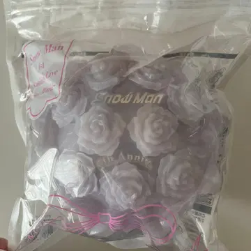 SnowMan 1st Stadium Live Snow World 응원봉