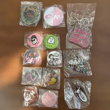 C&K 핀 배지 키링 세트