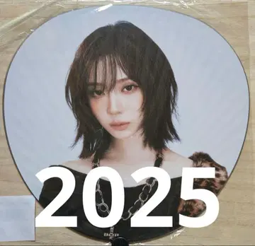 윈터 WINTER 라이브 부채 세트 4장 에스 aespa