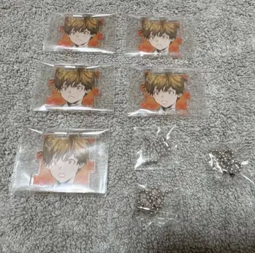 아마노 아키라 전시회 아크릴 퍼즐 컬렉션 잇시키 토토마루