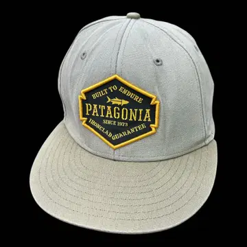레어 Patagonia 2013년 봄 한정판 BuilttoEndure 캡