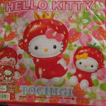 헬로키티 딸기 무늬 타월 도치기 한정판