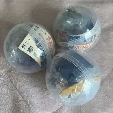 알로하 고양이 3개 세트