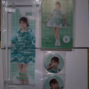 FRUITSZIPPER 사쿠라이 유이 스키쿠지