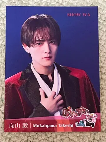SHOW-WA 무카이 타케시 포카포카 스티커 씰