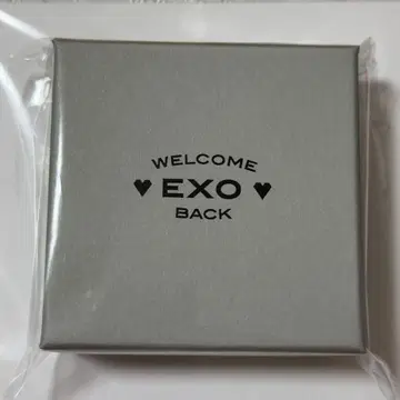 EXO 세훈 welcome back 택 키링 목걸이