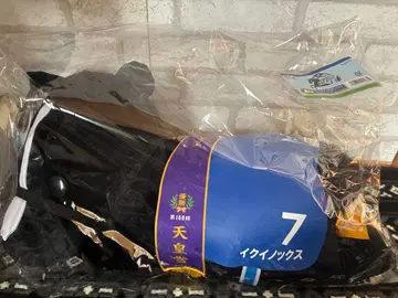 제일복권 TAITO HORSE HEROES 이퀴녹스 빅 봉제 인형