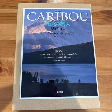 카리브 극북의 여행자