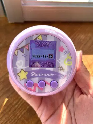 푸니룬즈 보라색