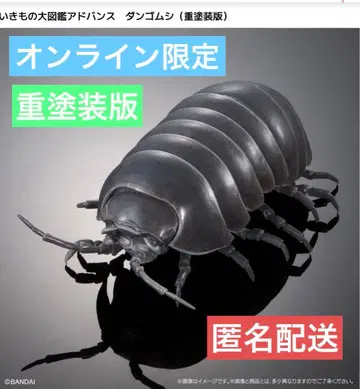 쥐며느리 중도색판 온라인판 생물대도감 어드밴스 블랙 1개