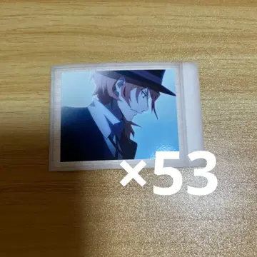 문호 스트레이독스 나카하라 츄야 파샤코레