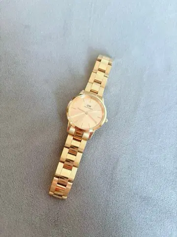 다니엘 웰링턴 골드 쿼츠 손목시계