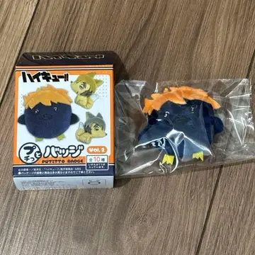 하이큐 푸치또 배지 Vol.2 히나타 쇼요 히나 유리