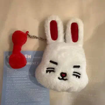 SEVENTEEN 미니틴 에스쿱스 키링