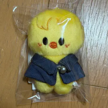 StrayKids SKZOO 10CM PLUSH 봉제 인형 포가리