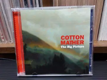 코튼 메이저 더 빅 픽처 비틀즈 유전자 파워팝