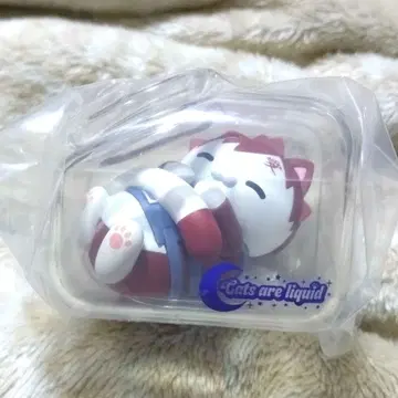 2 가아라 안녕히 주무세요 냥