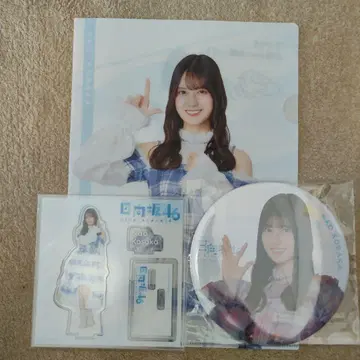 히나타자카46 코사카 나오 로손 아크릴 스탠드 클리어 파일 빅 캔뱃지